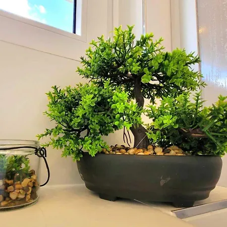 Cozy & Modern Flat * Gedern