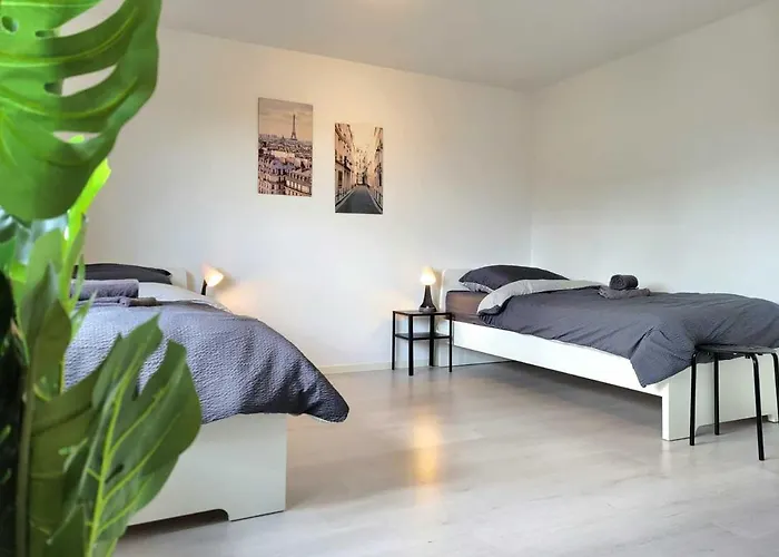 Cozy & Modern Flat Gedern