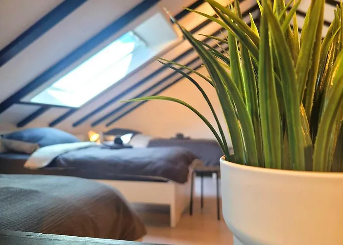 Cozy & Modern Flat * Gedern